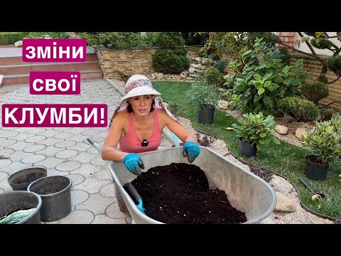 Видео: Посадка в контейнери на клумби. Як підкислити воду. Посадка рододендрона.