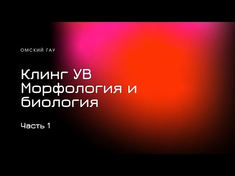 Видео: Клинг УВ | Часть 1 | Морфология и биология | Омский ГАУ