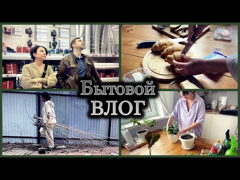 Видео: ВЛОГ Бытовой  / Уборка участка / Трудовые Выходные / Пересадка растений