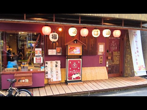 Видео: Капсульный отель Cat Cafe🛌😴Sleep with Watching Cats, Осака, Япония