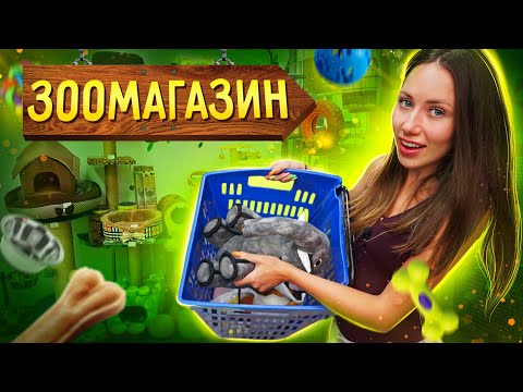 Видео: Экзотические ПОКУПКИ из ЗООМАГАЗИНА - Кипр  | Elli Di Pets