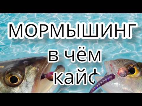 Видео: Мормышинг . В чем каиф  .