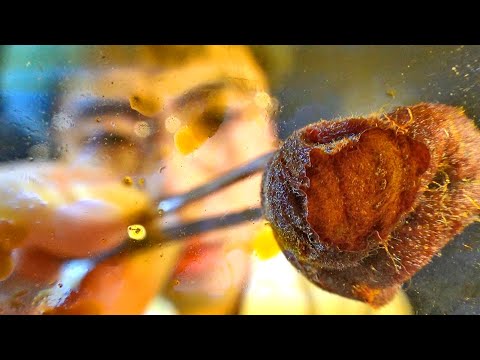 Видео: Ты получил травму? Сидеть здесь 💊 Реалистичный АСМР: Школьная Медсестра на Вашем Экране • Корейский