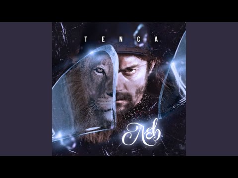 Видео: Лев