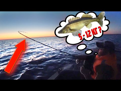 Видео: ДУМАЛИ ТАЩИМ МОНСТРА , А ТАМ...Ночная рыбалка на судака | Ладога 2021