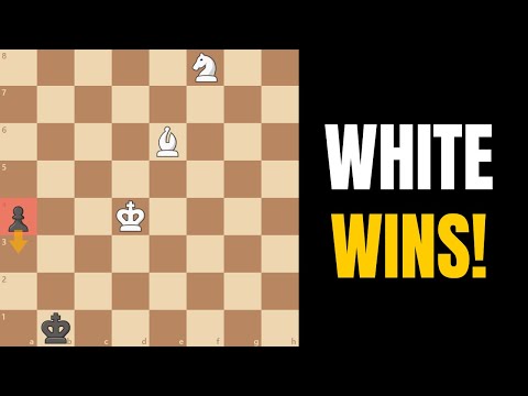 Видео: Как белым остановить эту пешку и выиграть?