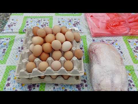 Видео: Огляд Ринку - Базару тварин. Буде цікаво!