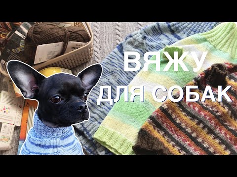 Видео: ВЯЗАНЫЕ СВИТЕРА ДЛЯ СОБАК