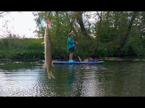 Видео: SUP Рыбалка на Коломенке 04092025