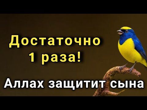 Видео: ☝️✨ ЭТО САМАЯ СИЛЬНАЯ МОЛИТВА ЗА СЫНА!СПАСЁТ ОТ БЕДЫ ЗЛЫХ ЛЮДЕЙ ПОРЧИ СГЛАЗА СИЛЬНЫЙ ОБЕРЕГ!  🤲🌹💯
