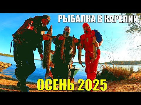 Видео: РЫБАЛКА В КАРЕЛИИ НА ЩУКУ ОСЕНЬЮ. ЛОВЛЯ ЩУКИ НА ЛЕСНОМ ОЗЕРЕ. Отличный улов