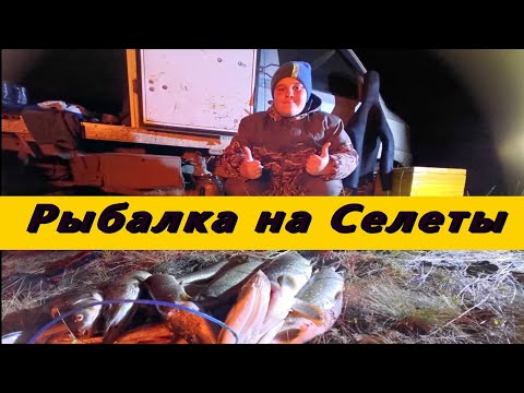 Видео: Рыбалка на Селеты