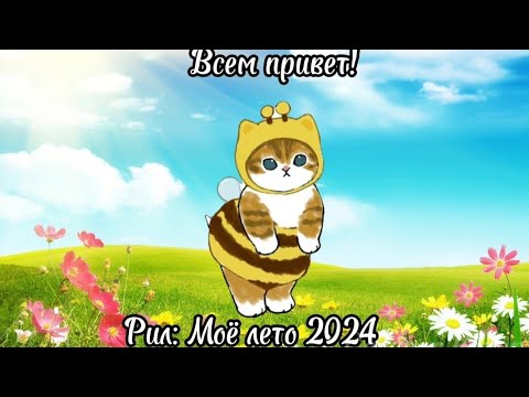 Видео: Рил: Моё лето 2024 🌞
