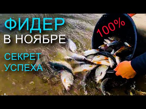 Видео: ФИДЕР В НОЯБРЕ |🐟 СЕКРЕТ УСПЕХА |🐟 ГДЕ ЛОВИТЬ ? | НА ЧТО ? | ЛУЧШАЯ НАСАДКА !!!🐟