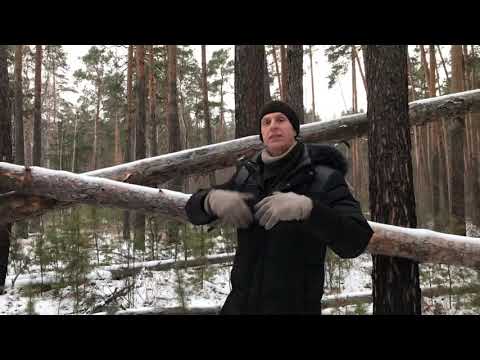 Видео: Геометрия Суровый челябинский челендж Задача Построить треугольник по периметру и двум углам