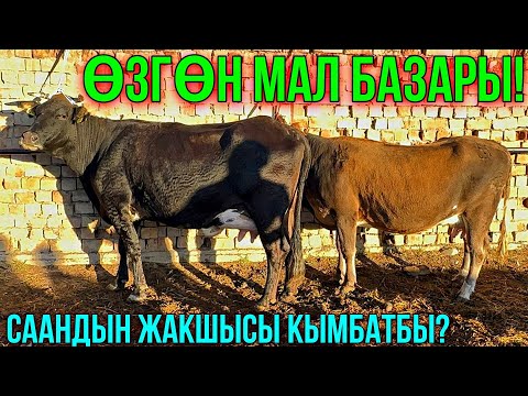 Видео: СААН УЙЛАР КУНАЖЫН УРГААЧЫ ТОРПОК БААЛАРЫ КАНДАЙ 🤯 #байтв