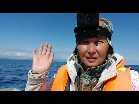 Видео: Мы идём за тунцом, а море большой накат волны ..