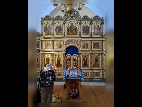 Видео: Радуйся, Радосте наша, покрый нас от всякаго зла честным Твоим омофором.