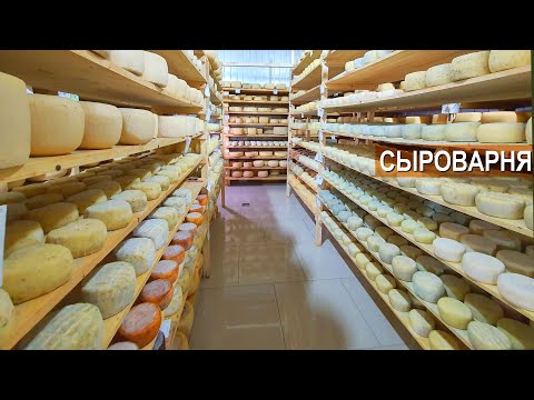 Видео: Современная фермерская сыроварня. Производство сыров. Кооператив Сырные Истории.