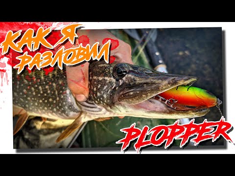 Видео: Как я разловил plopper и сломал спиннинг!