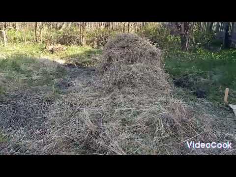 Видео: Наш участок.