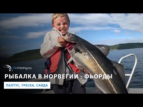 Видео: Рыбалка в северной Норвегии  Фьорды   палтус, треска, сайда. Fishing in Norway's Fjords