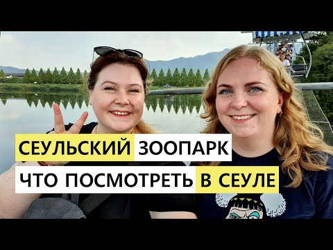 Видео: СЕУЛЬСКИЙ ЗООПАРК ЧТО ПОСМОТРЕТЬ В СЕУЛЕ КОРЕЯ ВЛОГ