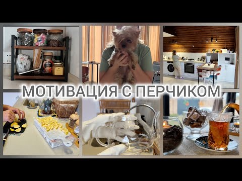 Видео: ОТВЕЧАЮ ЧЕСТНО, КАК ЕСТЬ! #мотивациянауборку#motivation#lifestyle 