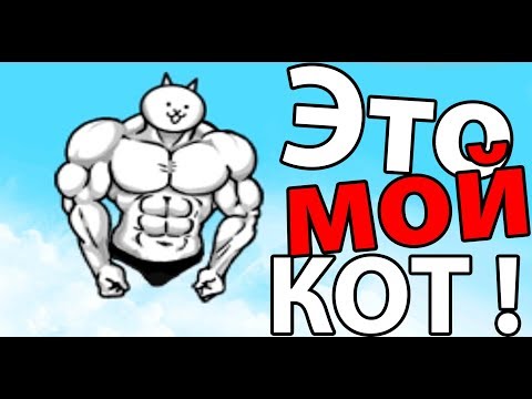 Видео: Это мой КОТ ! ( Battle Cats )