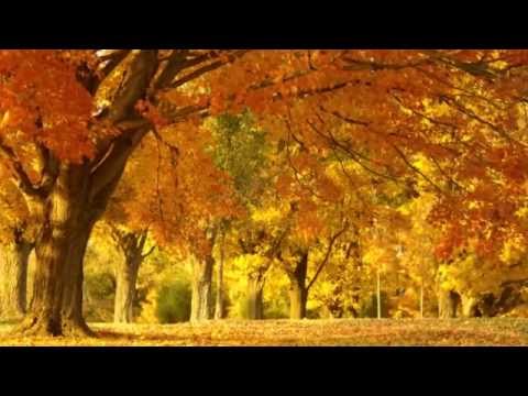 Видео: Лидия Клемент - Осень