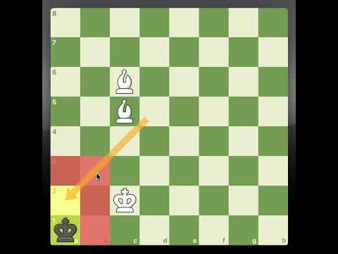 Видео: Как поставить мат двумя слонами