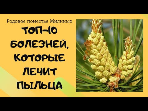 Видео: Сильнейшее средство для восстановления здоровья!!!