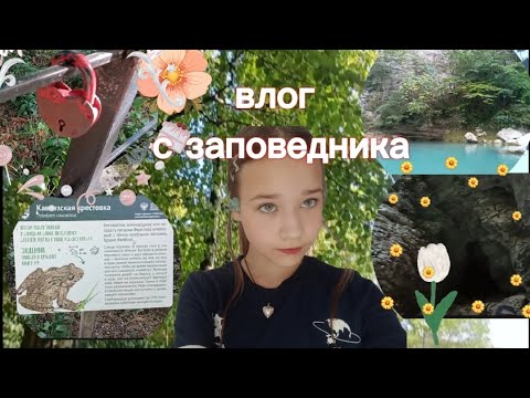 Видео: влог с заповедника||тисо самшитовая РОЩА||🦋отдых.