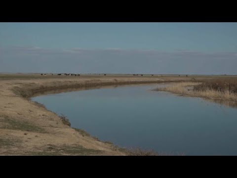 Видео: Водохранилище построят в селе Жалпактал ЗКО