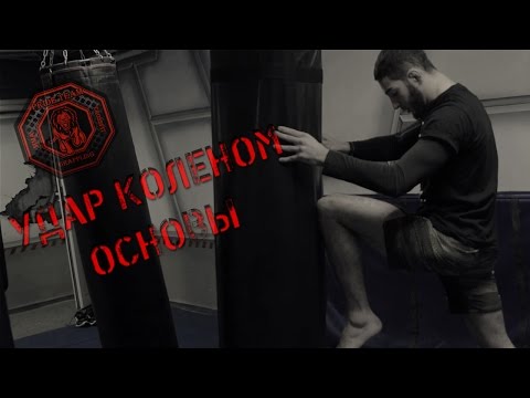 Видео: Удар Коленом. Основы.