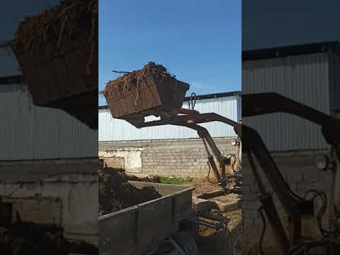 Видео: т16 самодельный Кун первый тест погрузка навоза