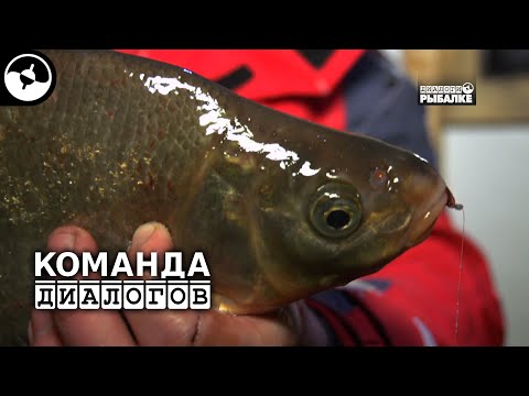 Видео: Лещ. Зимняя рыбалка. Озеро Волго | Новые Диалоги ©