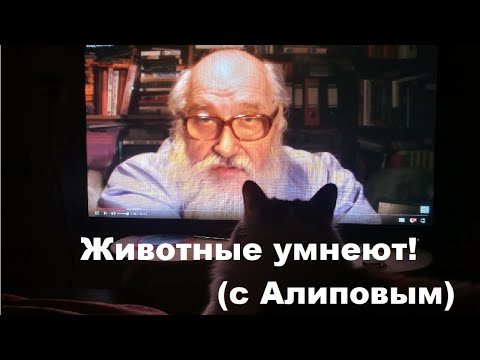 Видео: Животные умнеют! (с Алиповым)
