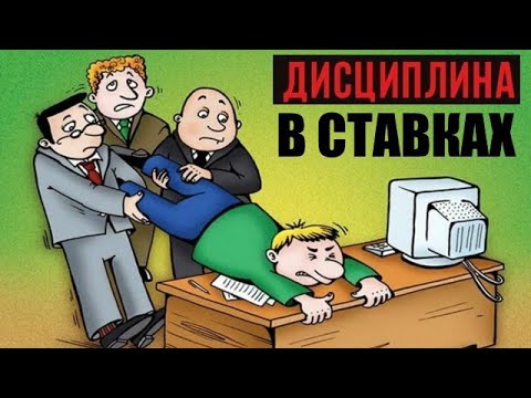 Видео: ДИСЦИПЛИНА В СТАВКАХ НА СПОРТ