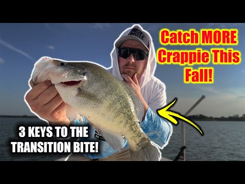 Видео: Поймайте больше КРАППИ этой ОСЕНЬЮ!! | 3 ключа к переходному клеву |