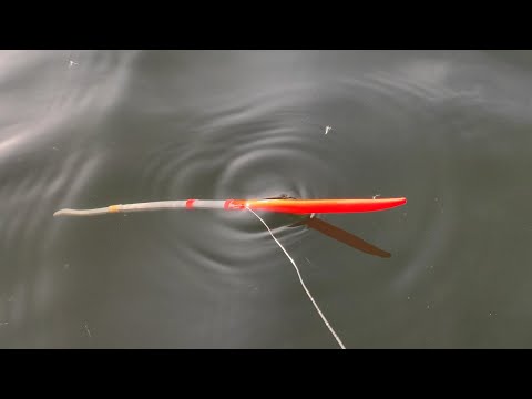 Видео: КРУПНЫЙ ЖЕЛТЫЙ КАРАСЬ перед морозами - РЫБАЛКА НА ПОПЛАВОК ОСЕНЬЮ НА РЕКЕ