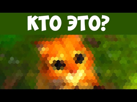 Видео: КРУТОЙ ТЕСТ, Который пройдут не все | БУДЬ В КУРСЕ TV