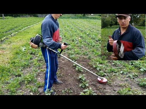 Видео: Прополка мотокосой. Насадка-полольник для мотокосы, удачное решение.