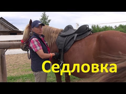 Видео: Как седлать лошадь