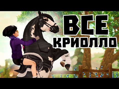 Видео: ПОКУПКА ВСЕХ КРИОЛЛО С ФЕЛИКСОМ | БЕГАЮЩЕЕ БРЕВНО🤣 | Star Stable