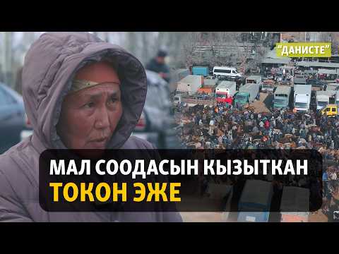 Видео: Төрт түлүктүн сырын билген Токон эже | "Данисте"