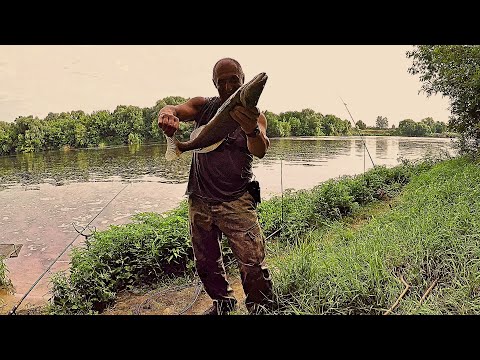 Видео: Охренительная Рыбалка в Новом Охренительном Месте. Чем хуже дорога, тем лучше рыбалка.