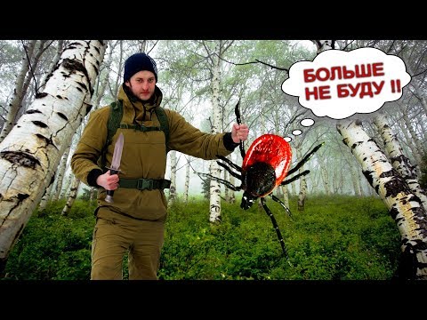 Видео: Топ-10 советов про Клещей от Игоря Лесника
