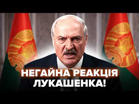 Видео: ⚡️Лукашенко НЕСПОДІВАНО ВІДПОВІВ Зеленському! Всі АЖ СТИХЛИ від ТАКОЇ ЗАЯВИ. Слухайте, що ВИДАВ