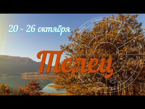 Видео: ТЕЛЕЦ ♉️Прогноз на неделю с 20 по 26 октября .